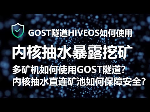 挖矿形式严峻，国内挖矿必看！各种协议加持任逃不过监管？gost隧道挖矿，e池币印鱼池凤池hiveos局域网如何使用gost，如何解决内核抽水直连暴露挖矿，保姆级教学openclash软路由代理内核抽水