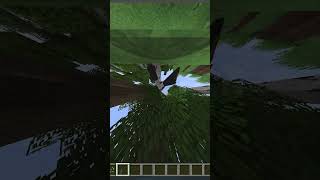 10000 FOV in minecraft!
