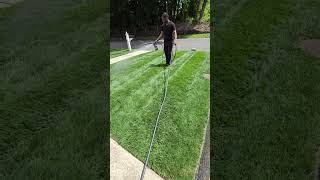 How To Keep Your Lawn Green During Summer Heat With Bioadvanved Lawn Root Moisturizer