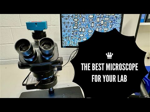 Looking for a good microscope for your lab? The ultimate microscope guide.