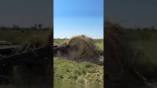 His Brand New Phone Got Baled Up! (allieschweizer) #farming #trendingshorts #fyp