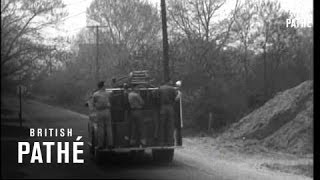 Forest Fire (1957)