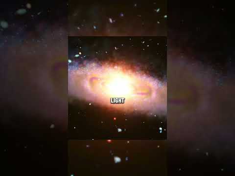 The True Shape of the Infinite Universe |