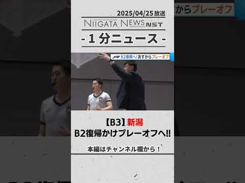 【B3】新潟 B2復帰かけたプレーオフへ!!　#新潟　#アルビBB　#バスケ