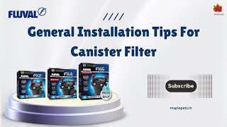 Canister filter intake output positioning tips