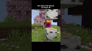 StOp CoMmEnTiNg YoUr 🔋% #minecraft #gameplay #gaming #minecraftfunny #minecraftmemes