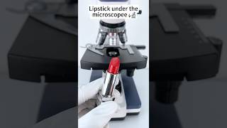 Lipstick under the microscope A Hidden World Under the Microscope – Bacteria Close-Up!