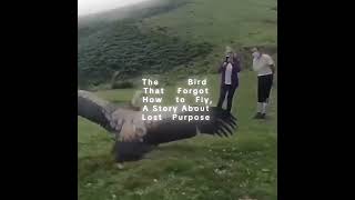 A STORY ABOUT LOST PURPOSE ✨ #relatable #motivation #philosophy #lifequotes #lifelesson