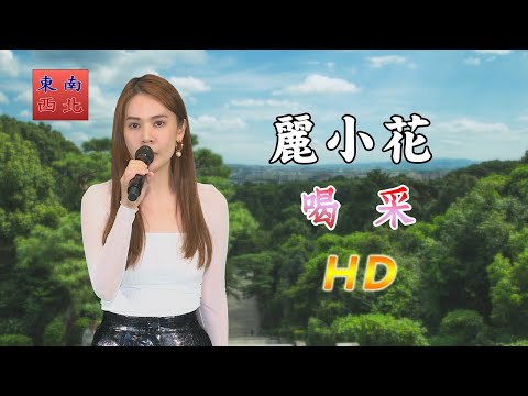 國語歌曲 麗小花 演唱 喝采(Kassai)