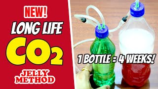 Get a LONG LASTING DIY CO2 System for Your Planted Aquarium