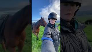 Set your horse up to win! #horse #equestrianjourney #equestrian #horserider #horsegirl #horses