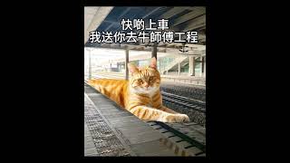牛師傅工程 #香港裝修 #傢私訂造 #熱門 #家具美學