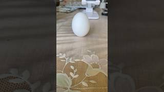 Dragon boat festival day.letting egg stand is part of the ritual~
