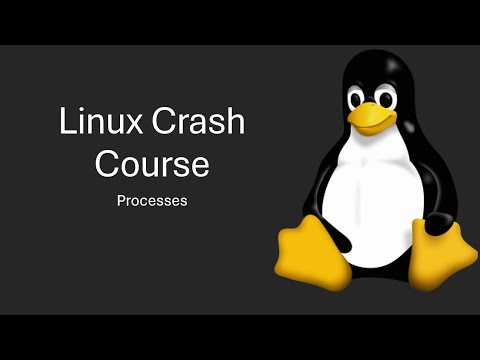 Linux processes and Daemons explained!