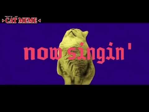 猫ミームでマッシュの曲作ってみた