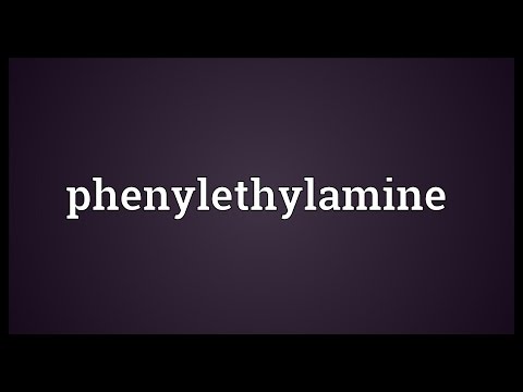 Phenylethylamine Meaning