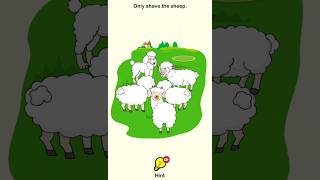 Only Shave The Sheep - Erase It : Tricky Puzzle Gameplay #shorts