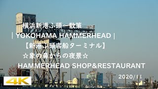横浜港散策｜YOKOHAMA HAMMERHEAD【新港ふ頭客船ターミナル】｜象の鼻からの夜景　🍜HAMMERHEAD SHOP&RESTAURANT でラーメン🍜食べてbellskybiz【４K】