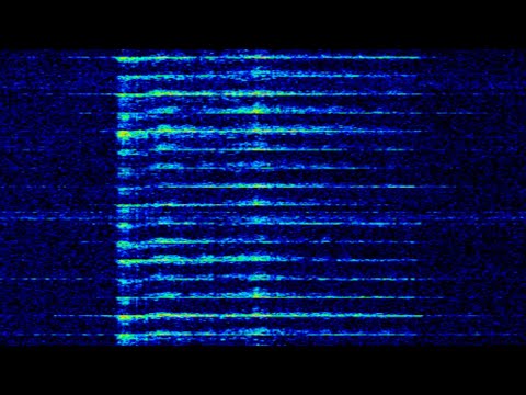 Stalingrad clock (6911khz) LIVE