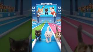 CAT RACE #cat #ai #gemini