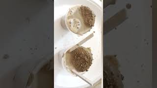 #mitti  #trending #subscribe #mud #mudclay #mudart #shorts #shortsvideo #ytshorts #support #clay