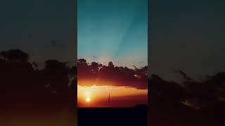 Good Night #intothewild #wildlife #shorts #africa