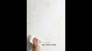 日本SP SAUCE防油汙透明貼紙
